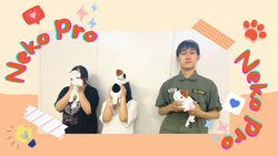 Neko Pro.png