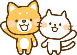 【大宮】その１☆ペット☆「人気の猫種クイズ」！！