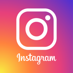 --Pngtree--instagram logo icon_3588833.png